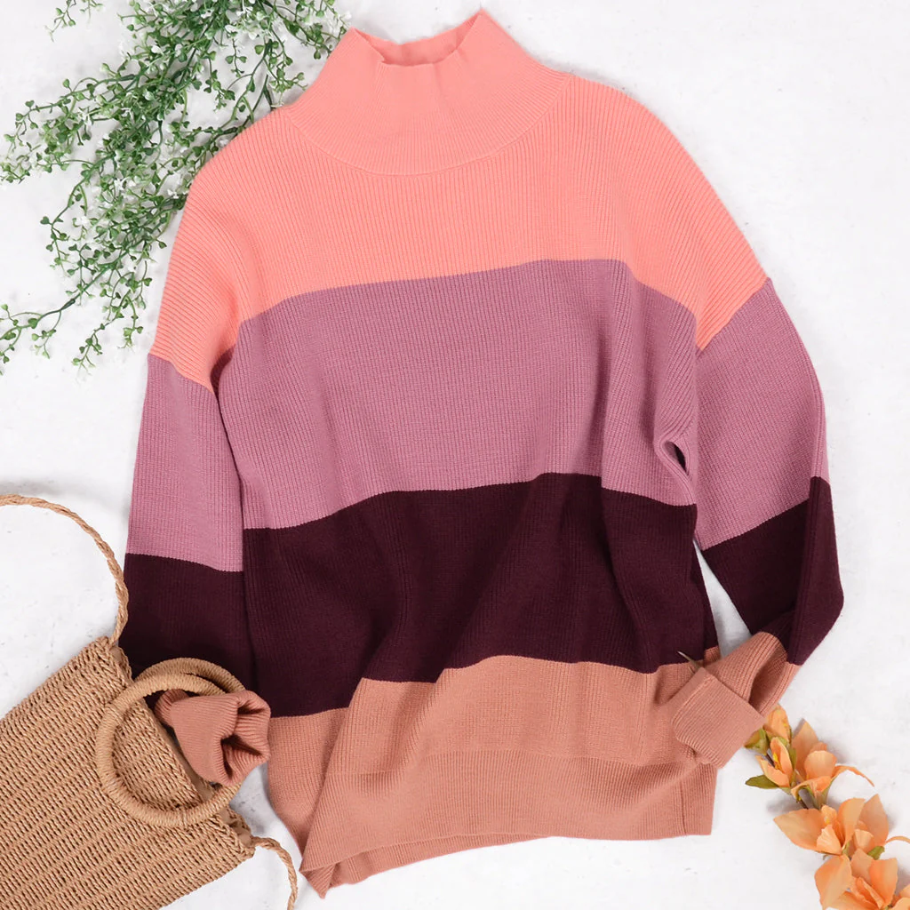 Color Block Turtle Neck Sweater