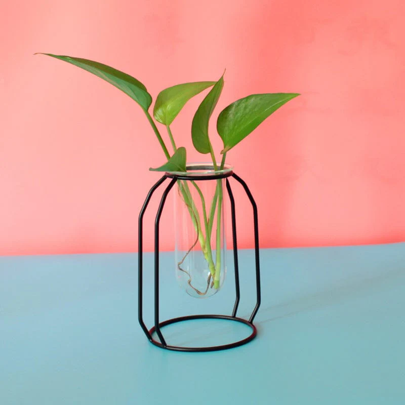 Flat Iron Flower Vase with Glass Test Tube Design - Image 4