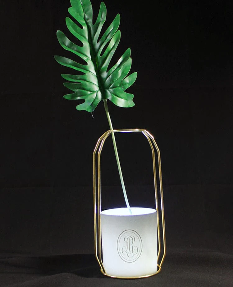 Flat Iron Flower Vase with Glass Test Tube Design - Image 5
