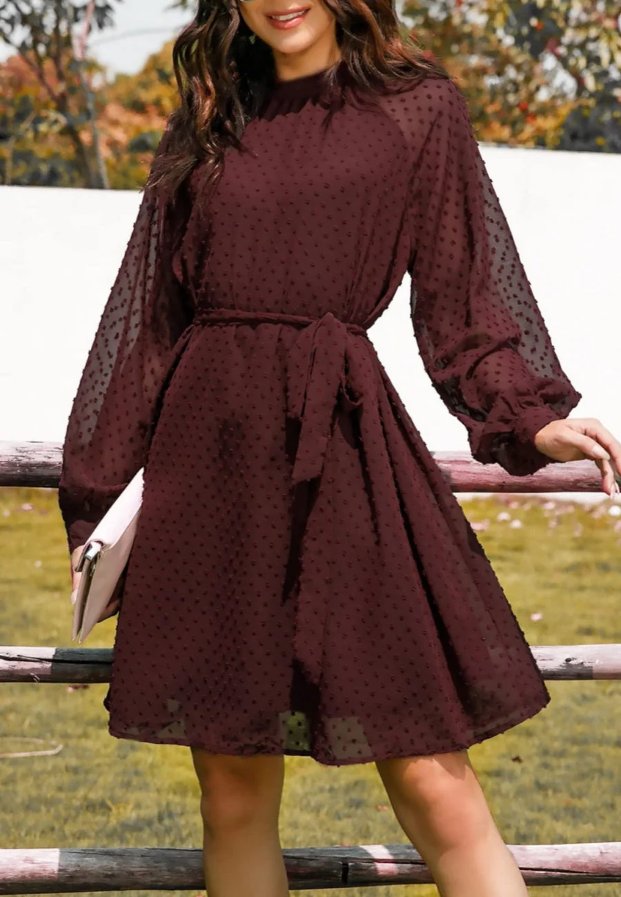 Mesh Sleeve Tie Back Dress - Image 3