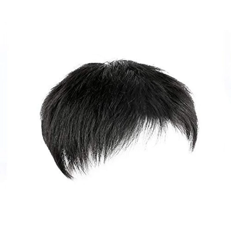 Middle-aged And Elderly Xie Ding Hairpiece Men's Natural Wig - Image 3