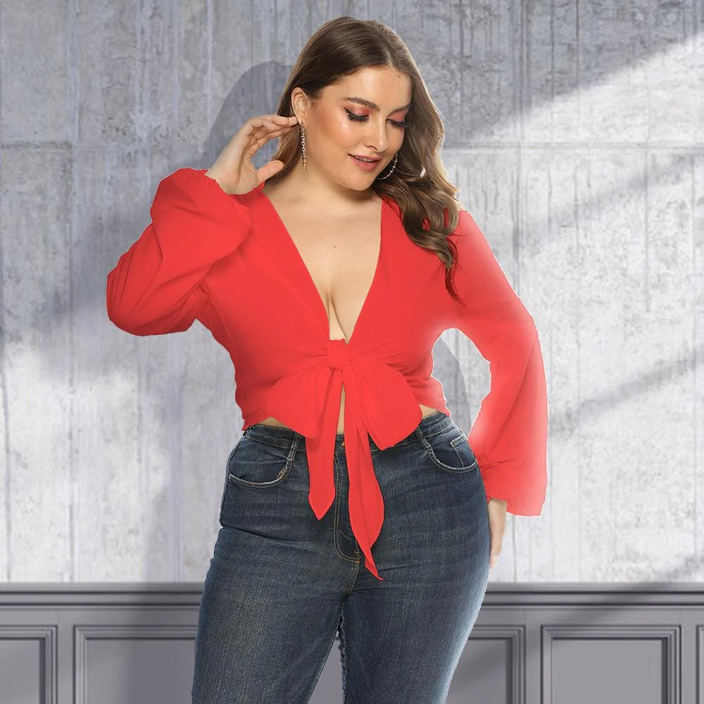 Plunge Neck Tie Front Blouse - Image 4