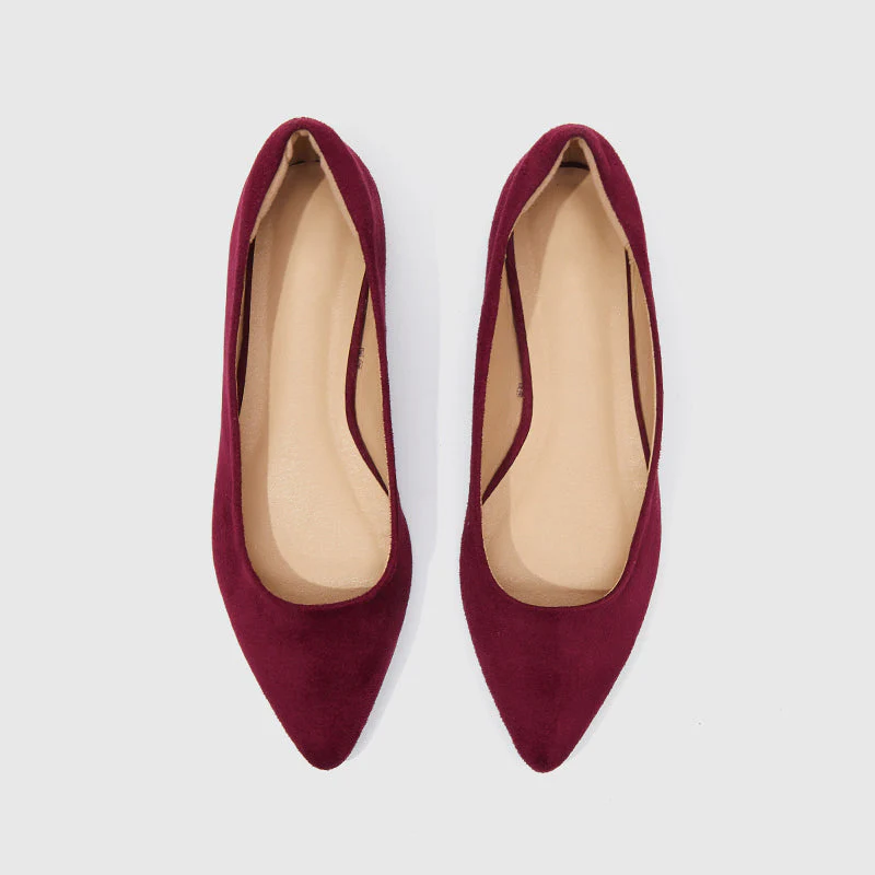 Pointed Toe Ballet Flats - Image 25