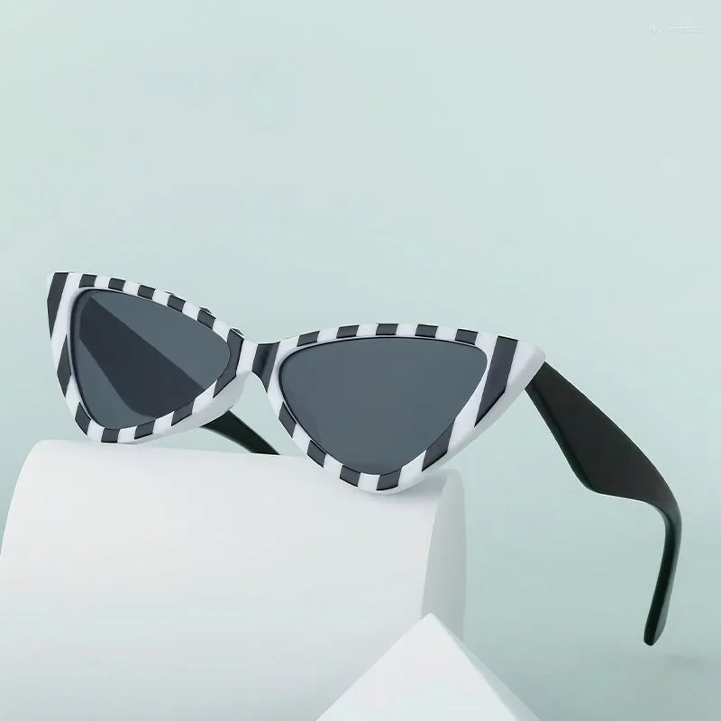 Rivet Cat Eye Sunglasses - Image 8