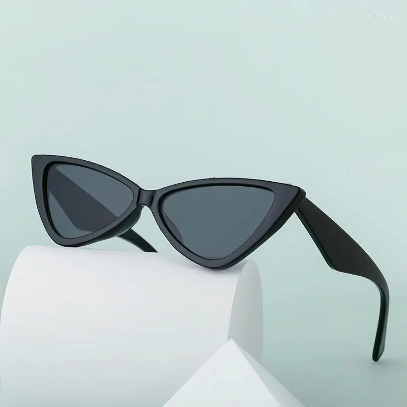 Rivet Cat Eye Sunglasses - Image 9