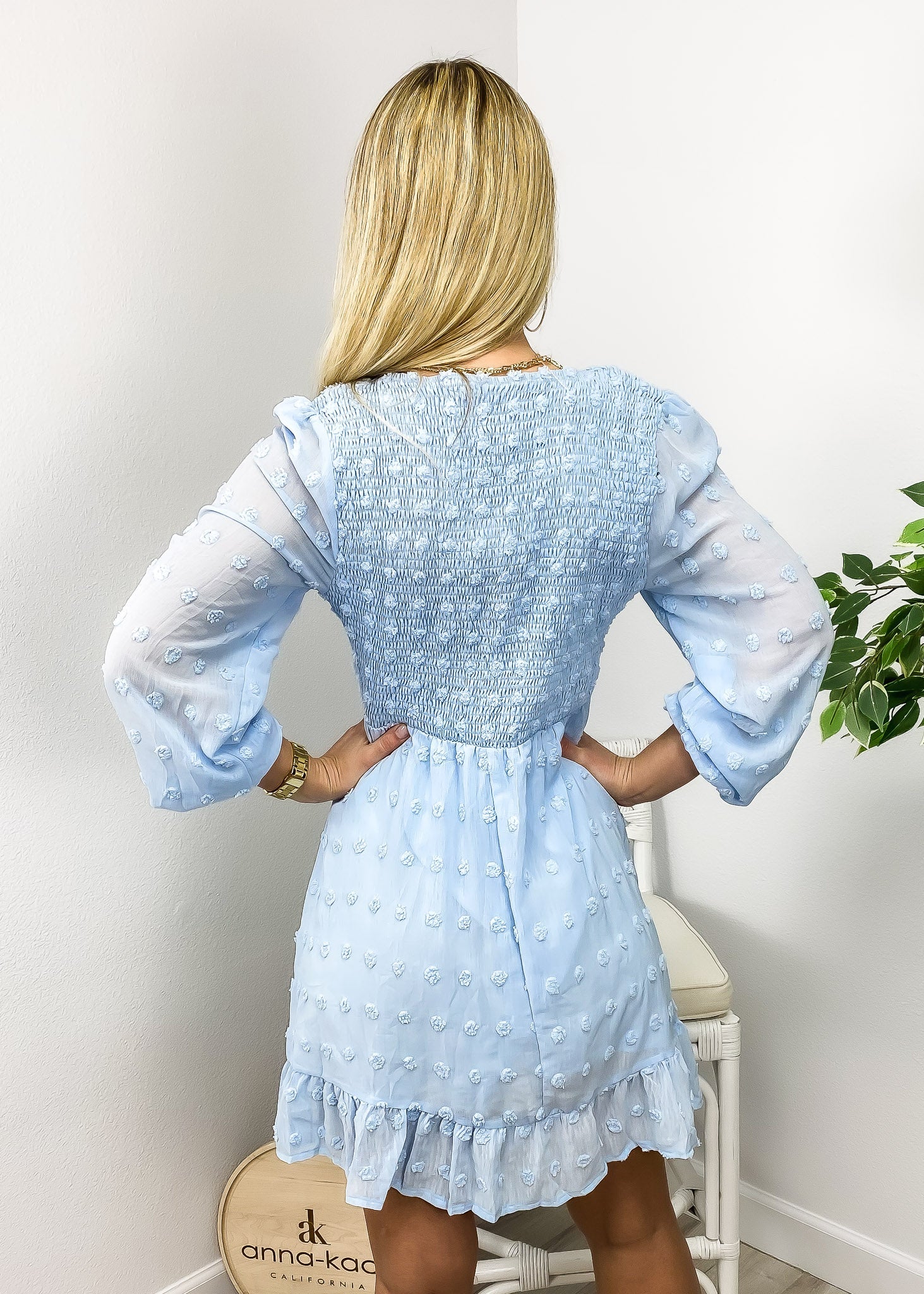 V Neck Shirred Swiss Dot Dress - Image 3