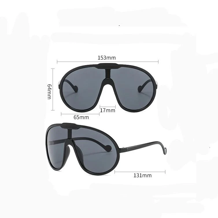 Vintage Elegant Sunglasses - Image 14